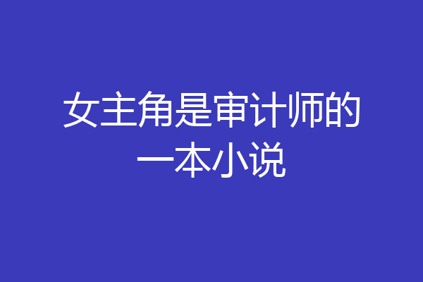 女主角是审计师的一本小说