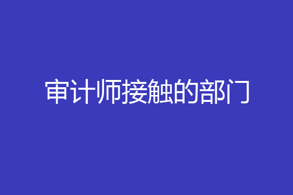 审计师接触的部门