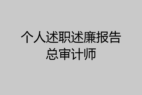 个人述职述廉报告总审计师