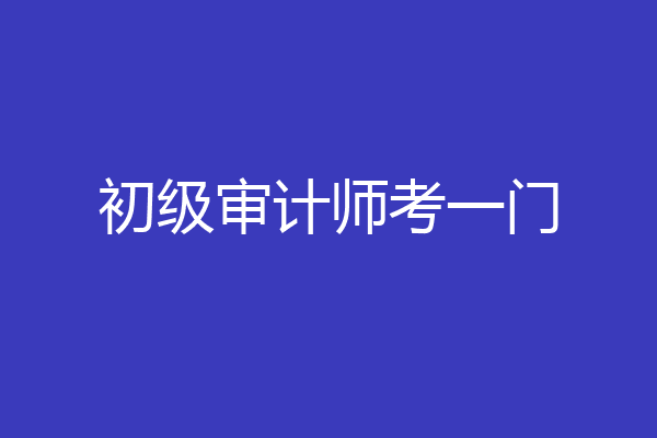 初级审计师考一门