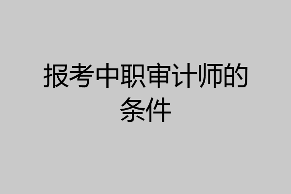 报考中职审计师的条件