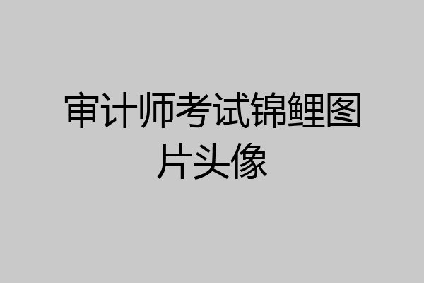 审计师考试锦鲤图片头像