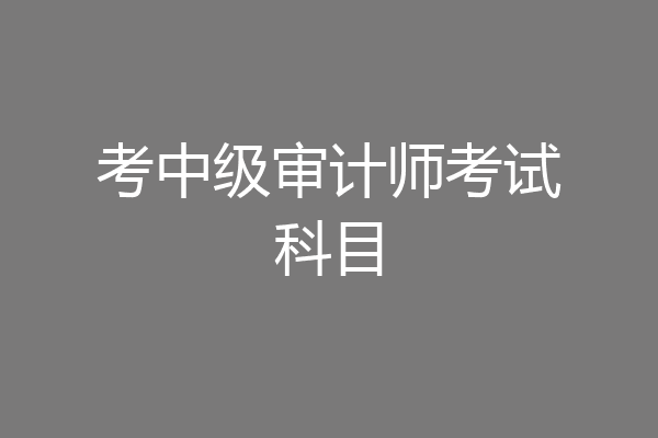 考中级审计师考试科目