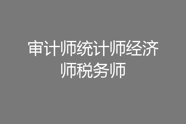 审计师统计师经济师税务师