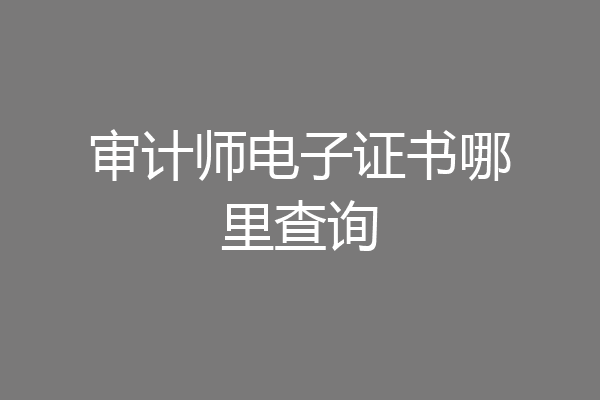 审计师电子证书哪里查询