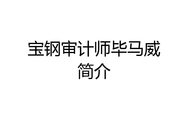 宝钢审计师毕马威简介