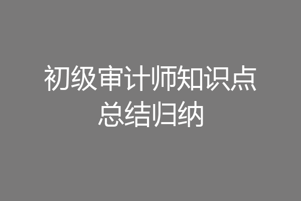 初级审计师知识点总结归纳