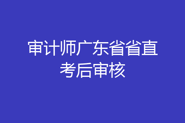 审计师广东省省直考后审核