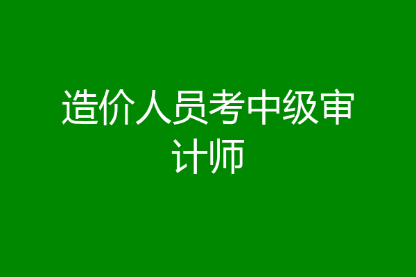造价人员考中级审计师