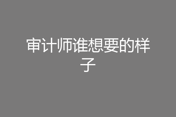 审计师谁想要的样子