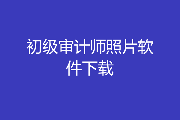 初级审计师照片软件下载