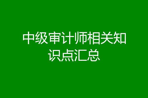 中级审计师相关知识点汇总