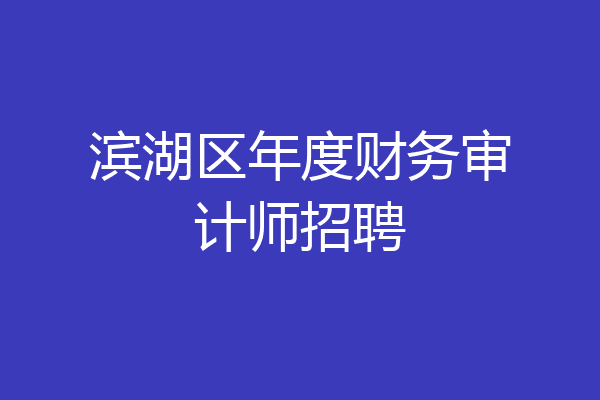 滨湖区年度财务审计师招聘