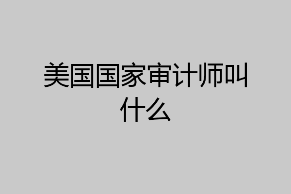 美国国家审计师叫什么