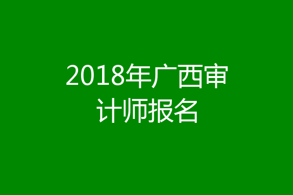 2018年广西审计师报名