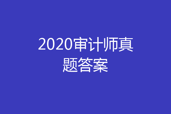 2020审计师真题答案
