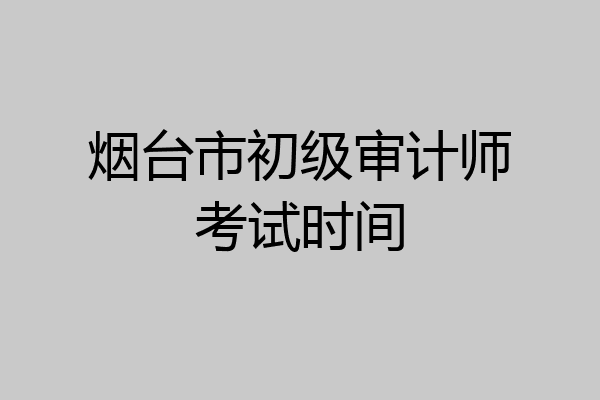 烟台市初级审计师考试时间