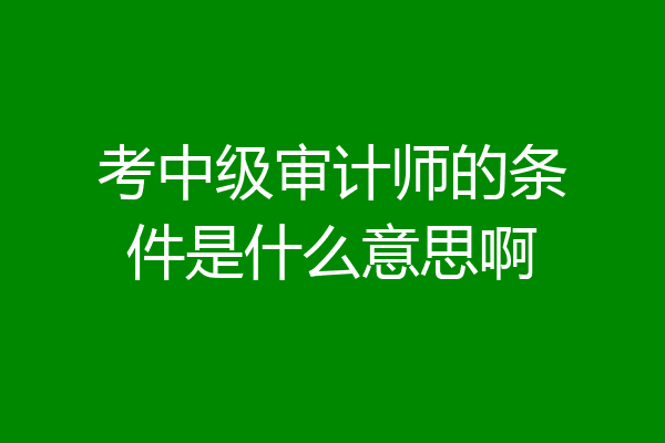 考中级审计师的条件是什么意思啊