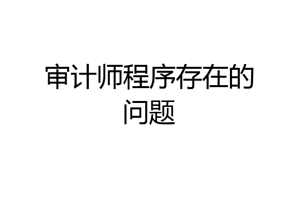 审计师程序存在的问题