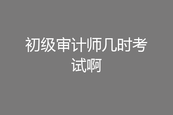 初级审计师几时考试啊