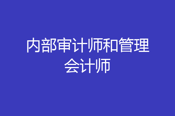 内部审计师和管理会计师