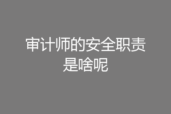 审计师的安全职责是啥呢