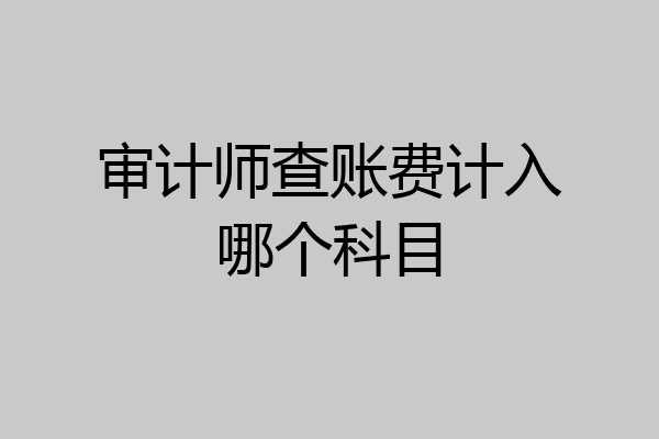 审计师查账费计入哪个科目