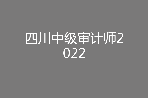 四川中级审计师2022