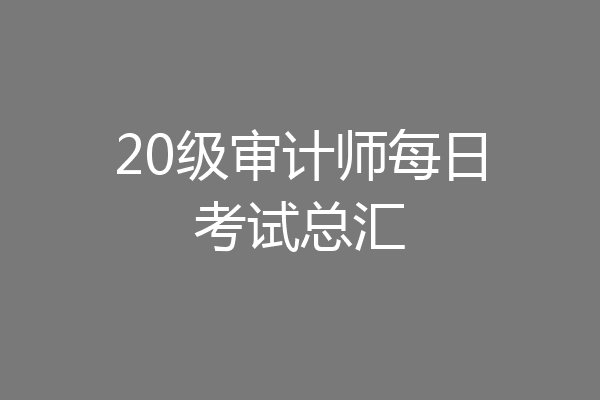 20级审计师每日考试总汇
