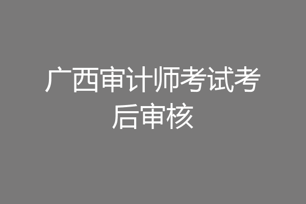 广西审计师考试考后审核