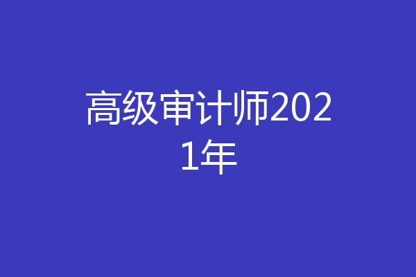 高级审计师2021年