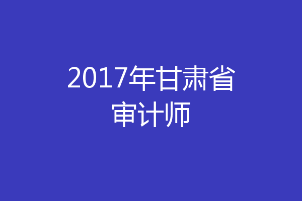 2017年甘肃省审计师