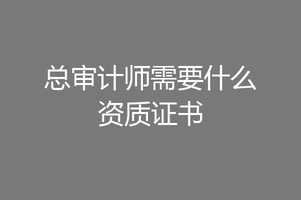 总审计师需要什么资质证书