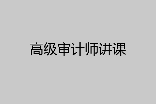 高级审计师讲课