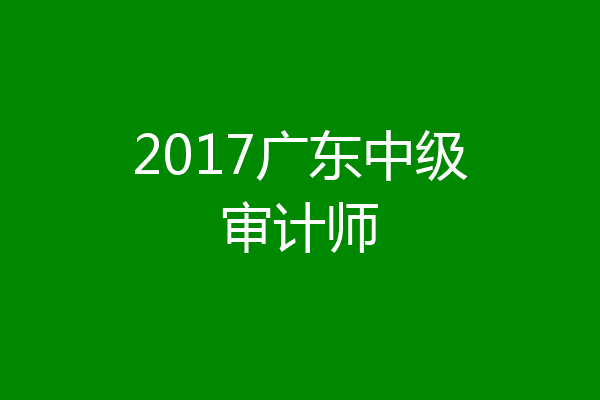 2017广东中级审计师