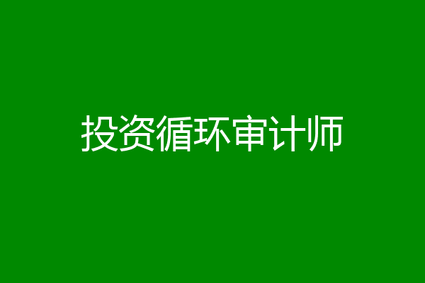 投资循环审计师