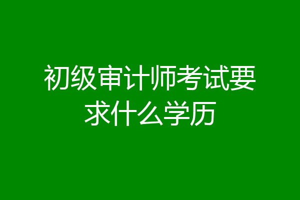 初级审计师考试要求什么学历
