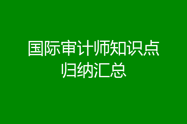 国际审计师知识点归纳汇总