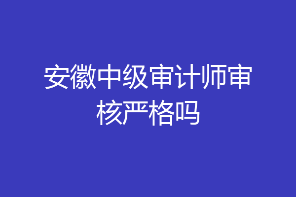 安徽中级审计师审核严格吗