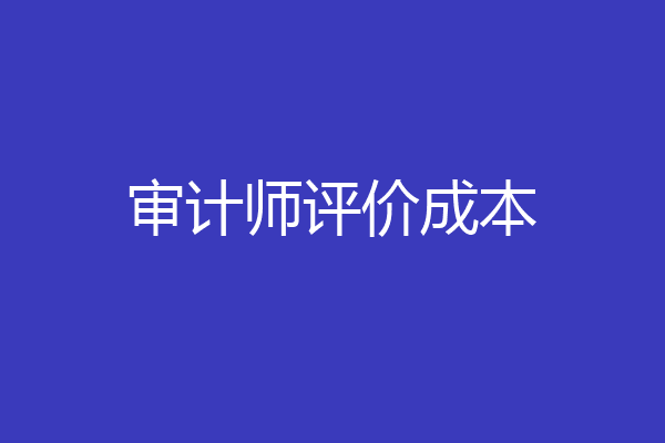 审计师评价成本