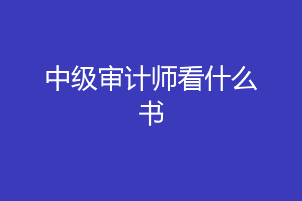 中级审计师看什么书