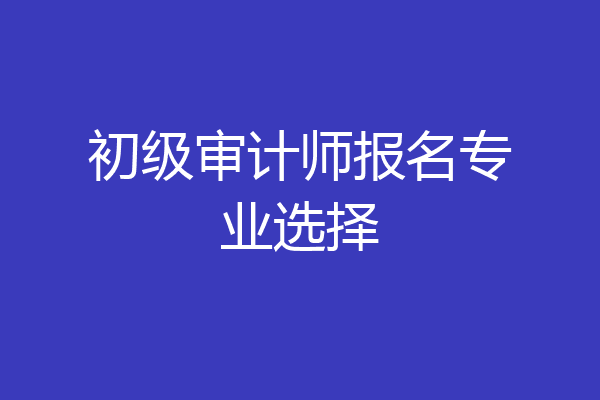 初级审计师报名专业选择