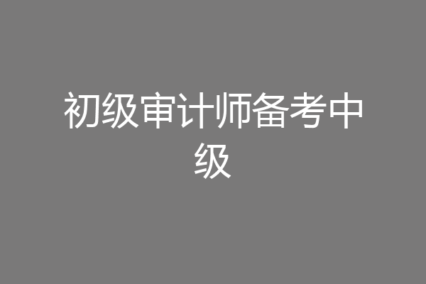 初级审计师备考中级