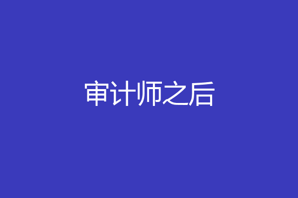 审计师之后
