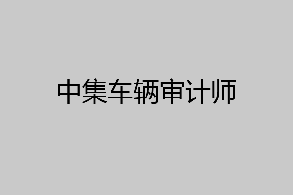 中集车辆审计师