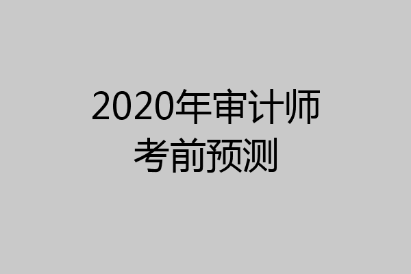 2020年审计师考前预测