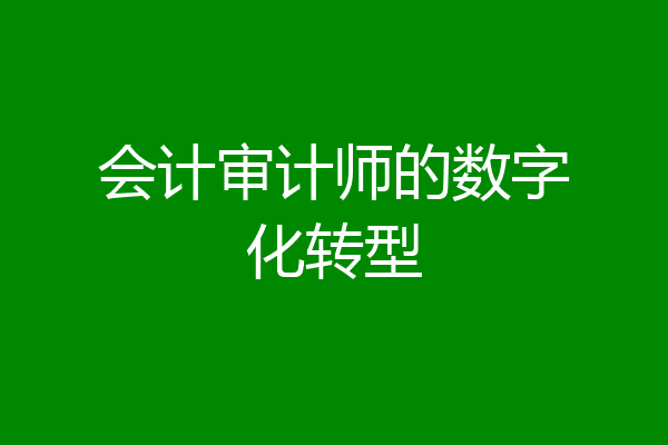 会计审计师的数字化转型