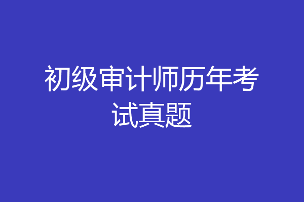 初级审计师历年考试真题