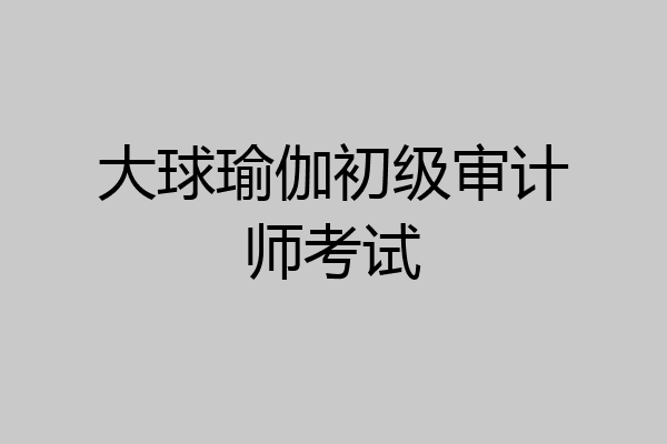 大球瑜伽初级审计师考试