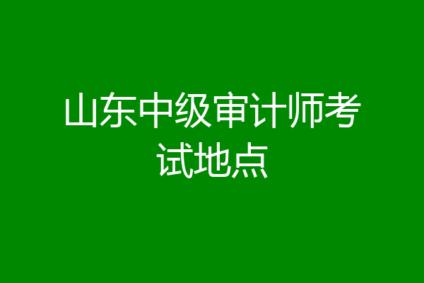 山东中级审计师考试地点